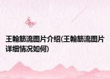 王翰筋流图片介绍(王翰筋流图片详细情况如何)