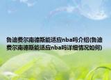 鲁迪费尔南德斯能适应nba吗介绍(鲁迪费尔南德斯能适应nba吗详细情况如何)
