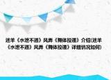 迷羊《水泄不通》风弄《舞体投递》介绍(迷羊《水泄不通》风弄《舞体投递》详细情况如何)