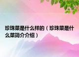 珍珠菜是什么样的（珍珠菜是什么菜简介介绍）