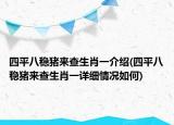 四平八稳猪来查生肖一介绍(四平八稳猪来查生肖一详细情况如何)