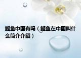 鲣鱼中国有吗（鲣鱼在中国叫什么简介介绍）