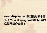 mini displayport接口能用来干什么（Mini DisplayPort接口可以怎么使用简介介绍）