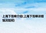 上海下雪嘛介绍(上海下雪嘛详细情况如何)