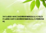 为什么感觉大家对王者荣耀的软辅敌意这么大介绍(为什么感觉大家对王者荣耀的软辅敌意这么大详细情况如何)