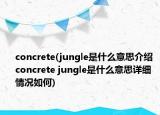 concrete(jungle是什么意思介绍 concrete jungle是什么意思详细情况如何)