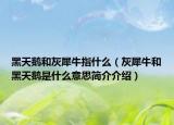 黑天鹅和灰犀牛指什么（灰犀牛和黑天鹅是什么意思简介介绍）