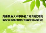 湖南黄金大米事件的介绍介绍(湖南黄金大米事件的介绍详细情况如何)