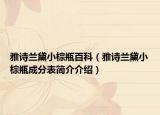 雅诗兰黛小棕瓶百科（雅诗兰黛小棕瓶成分表简介介绍）