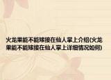 火龙果能不能嫁接在仙人掌上介绍(火龙果能不能嫁接在仙人掌上详细情况如何)