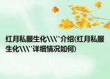 红月私服生化\