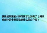 腾讯视频里的小鹅花钱怎么没有了（腾讯视频中的小鹅花钱是什么简介介绍）
