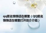 qq匿名悄悄话在哪里（QQ匿名悄悄话在哪里打开简介介绍）
