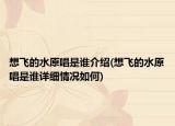 想飞的水原唱是谁介绍(想飞的水原唱是谁详细情况如何)