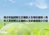青少年如何树立正确的人生观价值观（青年人怎样树立正确的人生价值观简介介绍）