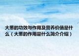 大葱的功效与作用及营养价值是什么（大葱的作用是什么简介介绍）
