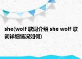 she(wolf 歌词介绍 she wolf 歌词详细情况如何)