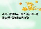 小学一年级读书计划介绍(小学一年级读书计划详细情况如何)