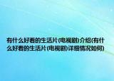 有什么好看的生活片(电视剧)介绍(有什么好看的生活片(电视剧)详细情况如何)