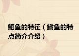 鮰鱼的特征（鲥鱼的特点简介介绍）