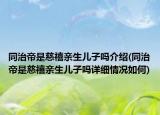 同治帝是慈禧亲生儿子吗介绍(同治帝是慈禧亲生儿子吗详细情况如何)