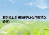泗水砭石介绍(泗水砭石详细情况如何)