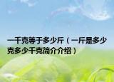 一千克等于多少斤（一斤是多少克多少千克简介介绍）
