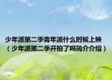 少年派第二季青年派什么时候上映（少年派第二季开拍了吗简介介绍）