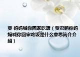 贾 妈妈喊你回家吃饭（贾君鹏你妈妈喊你回家吃饭是什么意思简介介绍）
