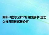 朗科U盘怎么样?介绍(朗科U盘怎么样?详细情况如何)
