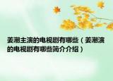 姜潮主演的电视剧有哪些（姜潮演的电视剧有哪些简介介绍）