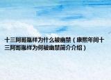 十三阿哥胤祥为什么被幽禁（康熙年间十三阿哥胤祥为何被幽禁简介介绍）