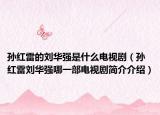 孙红雷的刘华强是什么电视剧（孙红雷刘华强哪一部电视剧简介介绍）