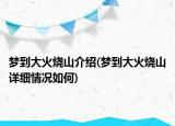 梦到大火烧山介绍(梦到大火烧山详细情况如何)