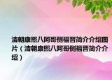 清朝康熙八阿哥侧福晋简介介绍图片（清朝康熙八阿哥侧福晋简介介绍）