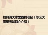 如何消灭家里面的老鼠（怎么灭家里老鼠简介介绍）