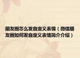 朋友圈怎么发自定义表情（微信朋友圈如何发自定义表情简介介绍）