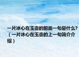 一片冰心在玉壶的前面一句是什么?（一片冰心在玉壶的上一句简介介绍）