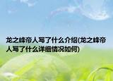 龙之峰帝人写了什么介绍(龙之峰帝人写了什么详细情况如何)