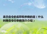 表示命令的名称和参数的是（什么叫做命令行参数简介介绍）