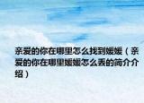 亲爱的你在哪里怎么找到媛媛（亲爱的你在哪里媛媛怎么丢的简介介绍）
