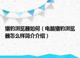 猎豹浏览器如何（电脑猎豹浏览器怎么样简介介绍）