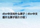 dior中文叫什么牌子（dior中文是什么牌子简介介绍）