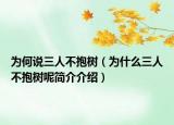 为何说三人不抱树（为什么三人不抱树呢简介介绍）