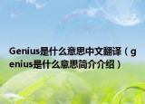 Genius是什么意思中文翻译（genius是什么意思简介介绍）