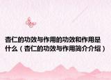 杏仁的功效与作用的功效和作用是什么（杏仁的功效与作用简介介绍）