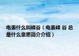 电表什么叫峰谷（电表峰 谷 总是什么意思简介介绍）
