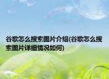 谷歌怎么搜索图片介绍(谷歌怎么搜索图片详细情况如何)