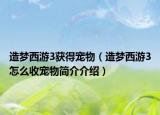 造梦西游3获得宠物（造梦西游3怎么收宠物简介介绍）