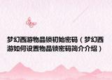 梦幻西游物品锁初始密码（梦幻西游如何设置物品锁密码简介介绍）